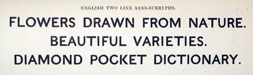 1816-Two Lines English Egyptian