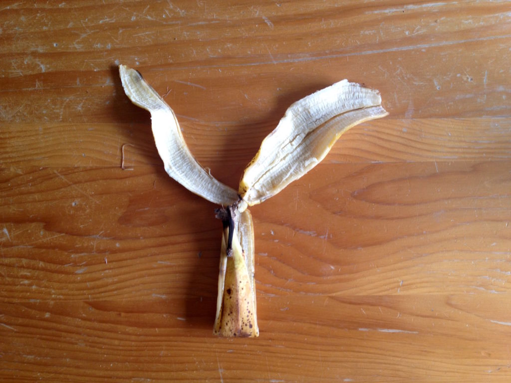 1.20_Bananenschale_6