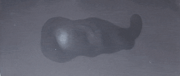 1.35_Wachs+Sonne_reverse