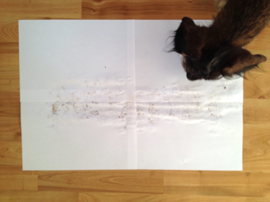 1.45_Hundefutter+Dackel_10