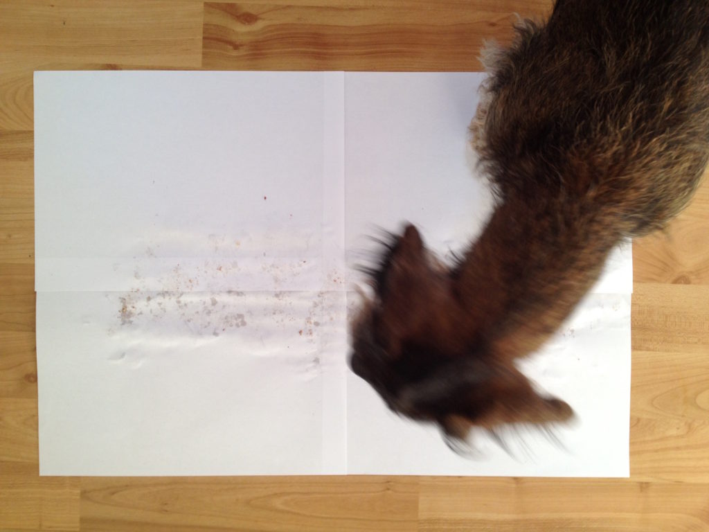 1.45_Hundefutter+Dackel_11