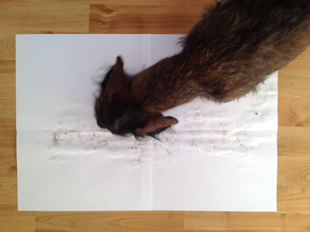 1.45_Hundefutter+Dackel_12