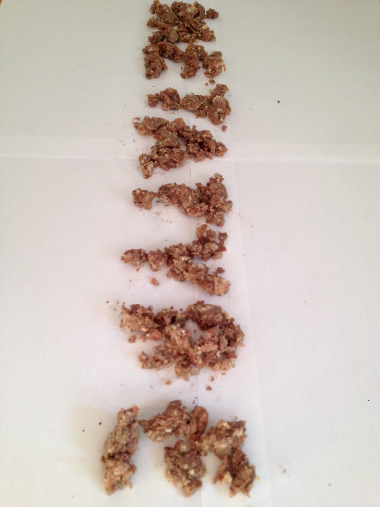 1.45_Hundefutter+Dackel_2