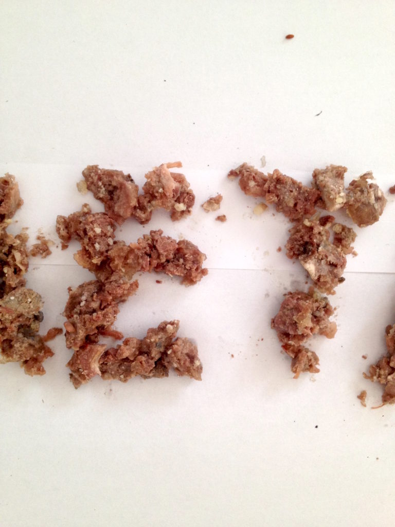 1.45_Hundefutter+Dackel_6