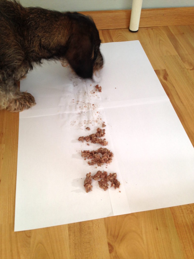 1.45_Hundefutter+Dackel_8