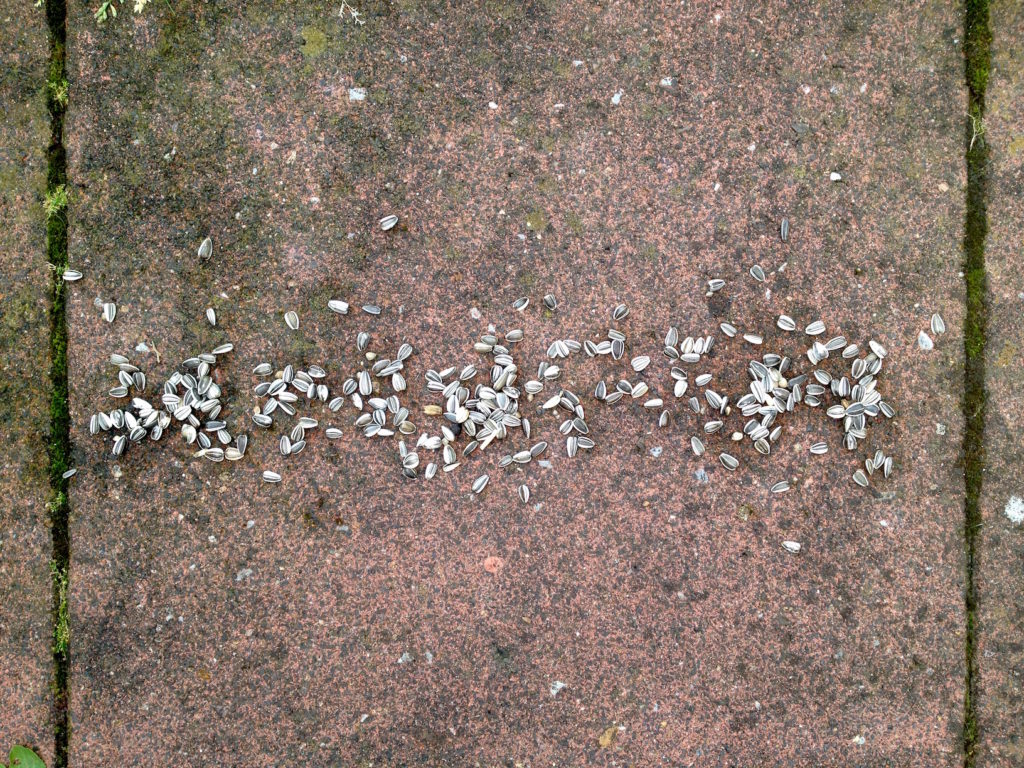 1.50.1_Vogelfutter_4
