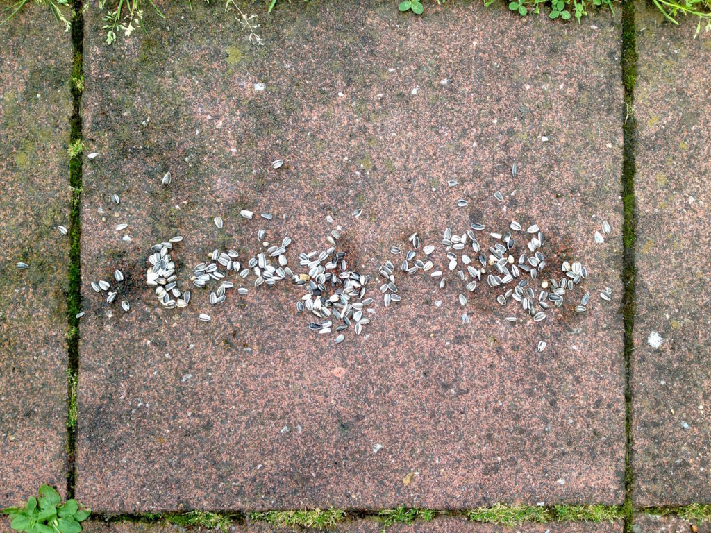 1.50.1_Vogelfutter_5