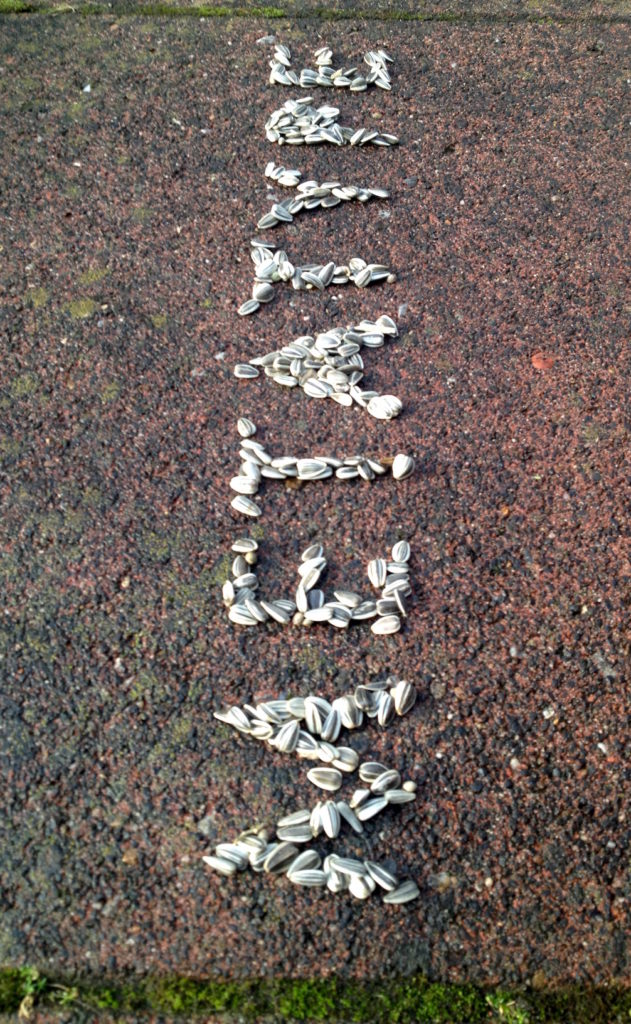 1.50_Vogelfutter_20160712_3