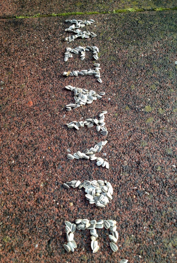 1.50_Vogelfutter_20160712_4