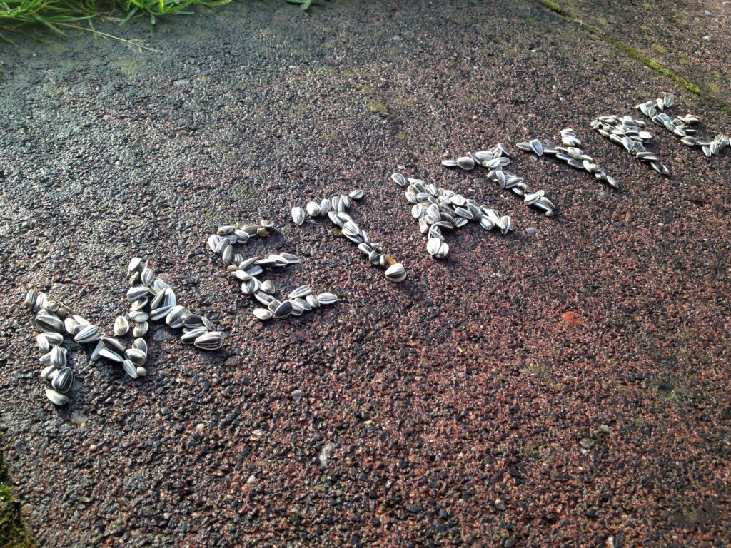 1.50_Vogelfutter_20160712_7