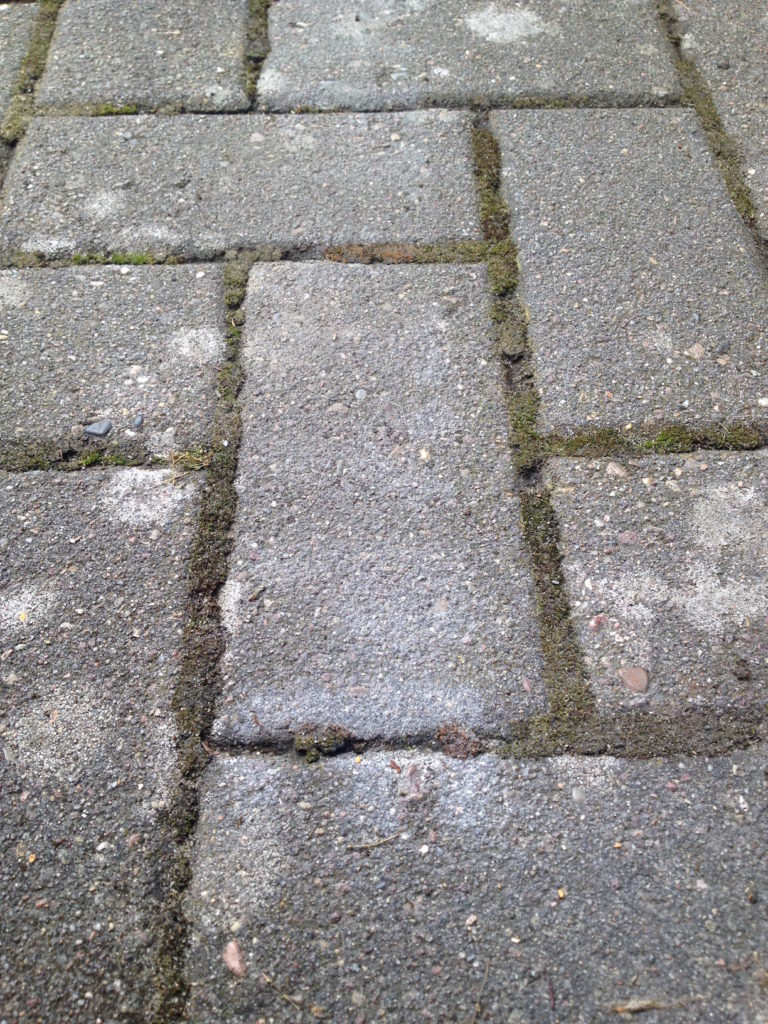 1.51_Kreidefarbe+Pflastersteine+Regen_12