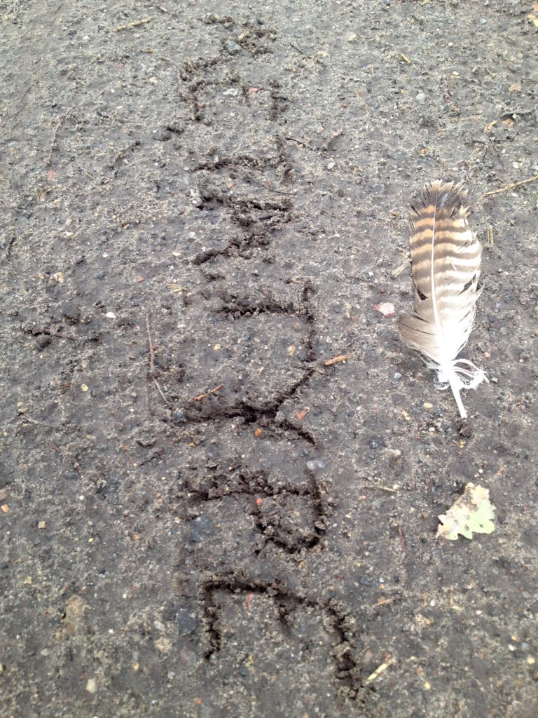 1.52_Sand+Vogelfeder_2