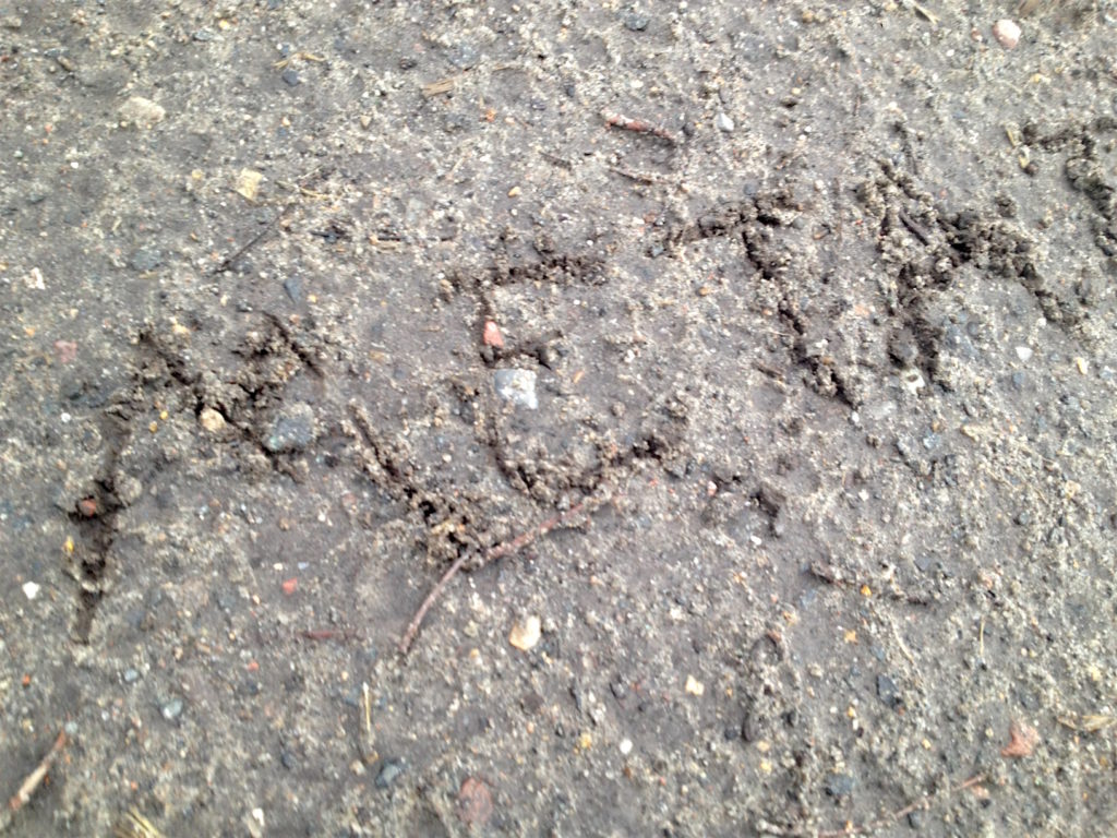 1.52_Sand+Vogelfeder_4
