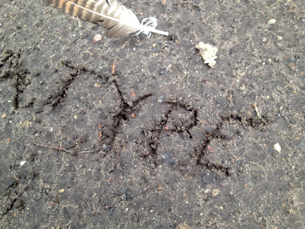 1.52_Sand+Vogelfeder_5