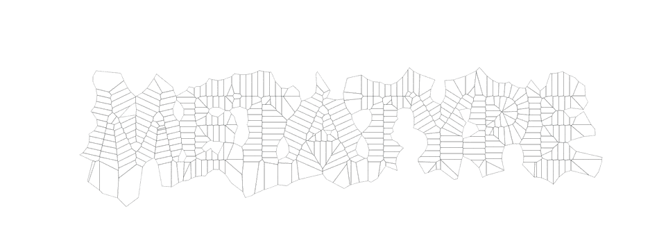 2.6.12_VoronoiVariant1