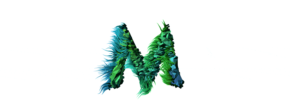 2.6.14.2_FlowField3D_1