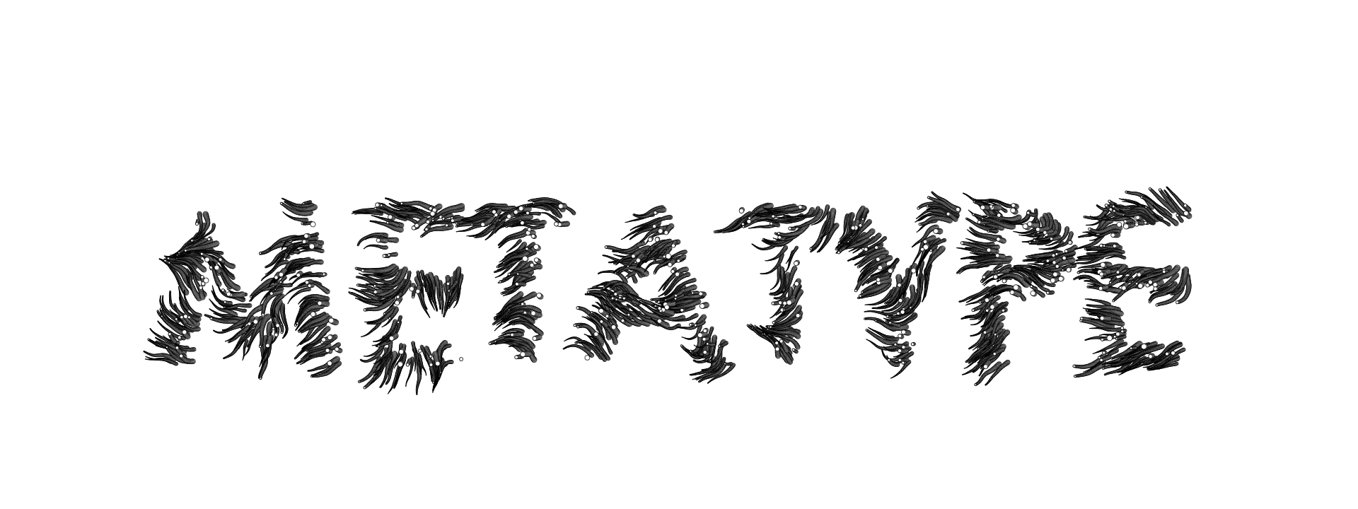 FlowField2-00050
